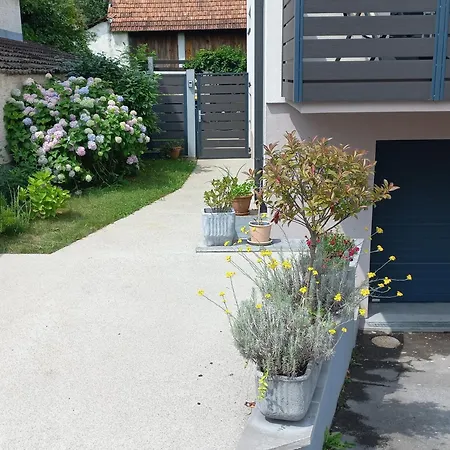 Rosemary & Free Parking Ljubljana